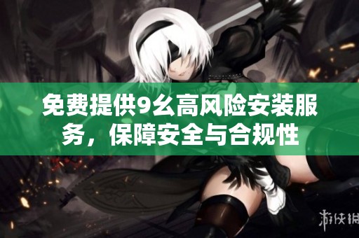 免费提供9幺高风险安装服务，保障安全与合规性