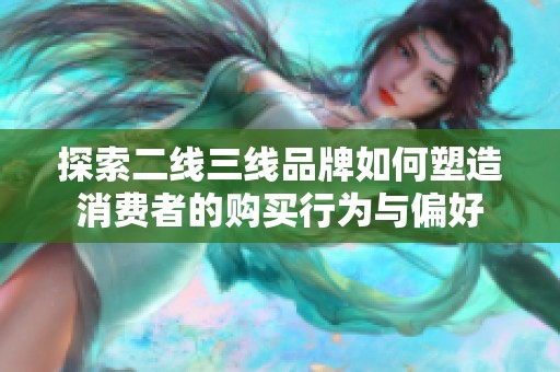 探索二线三线品牌如何塑造消费者的购买行为与偏好