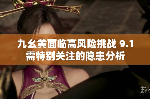 九幺黄面临高风险挑战 9.1需特别关注的隐患分析