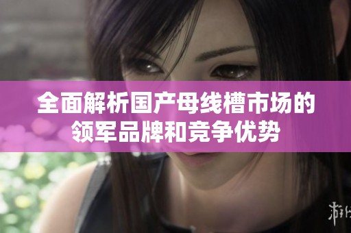 全面解析国产母线槽市场的领军品牌和竞争优势