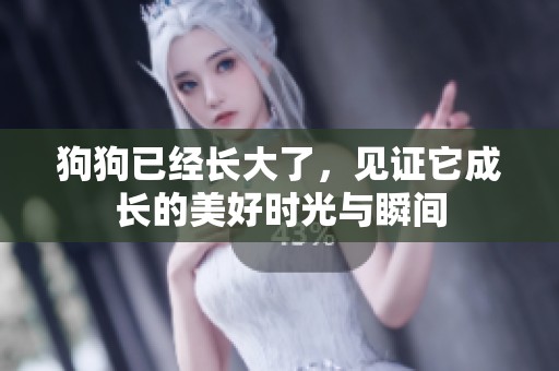 狗狗已经长大了，见证它成长的美好时光与瞬间