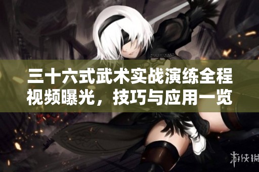 三十六式武术实战演练全程视频曝光，技巧与应用一览无遗