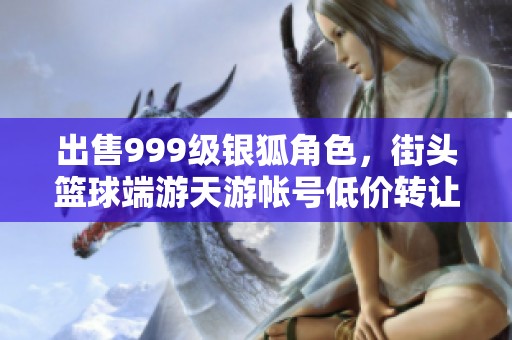 出售999级银狐角色，街头篮球端游天游帐号低价转让