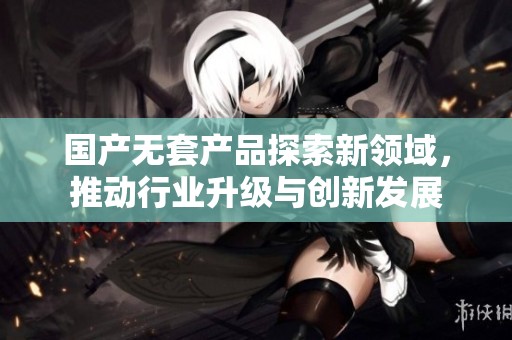 国产无套产品探索新领域，推动行业升级与创新发展
