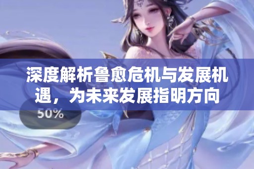 深度解析鲁愈危机与发展机遇，为未来发展指明方向