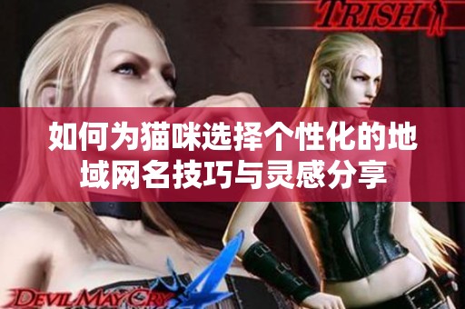 如何为猫咪选择个性化的地域网名技巧与灵感分享