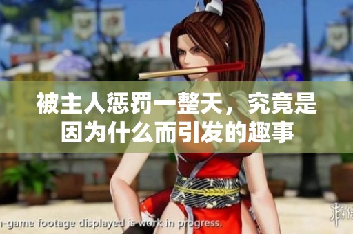 被主人惩罚一整天，究竟是因为什么而引发的趣事