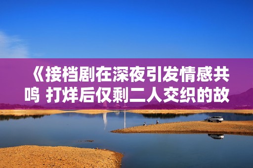 《接档剧在深夜引发情感共鸣 打烊后仅剩二人交织的故事》