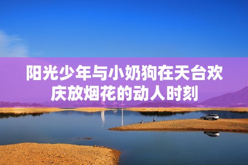 阳光少年与小奶狗在天台欢庆放烟花的动人时刻