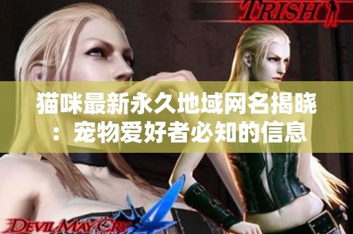 猫咪最新永久地域网名揭晓：宠物爱好者必知的信息
