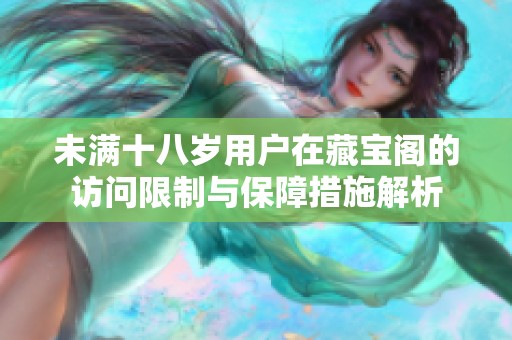 未满十八岁用户在藏宝阁的访问限制与保障措施解析