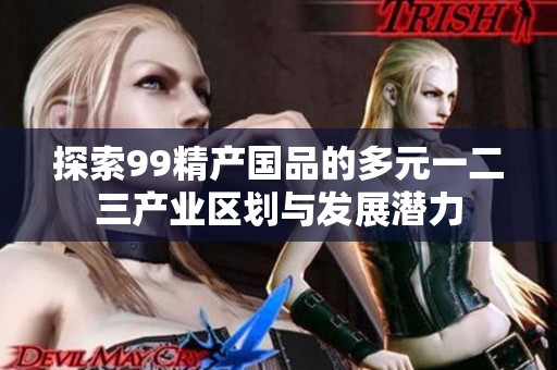 探索99精产国品的多元一二三产业区划与发展潜力