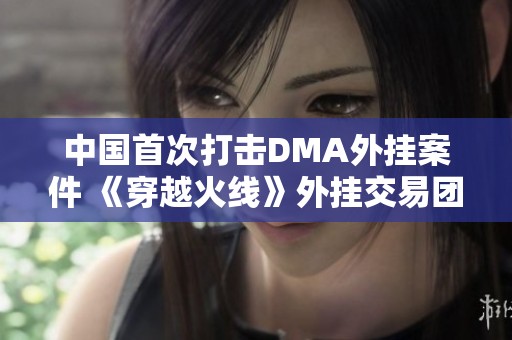 中国首次打击DMA外挂案件 《穿越火线》外挂交易团伙被捕