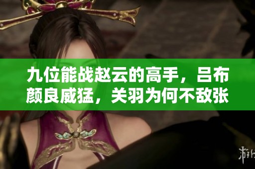 九位能战赵云的高手，吕布颜良威猛，关羽为何不敌张飞
