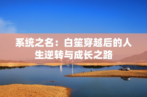 系统之名：白笙穿越后的人生逆转与成长之路