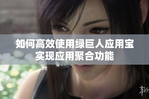 如何高效使用绿巨人应用宝实现应用聚合功能