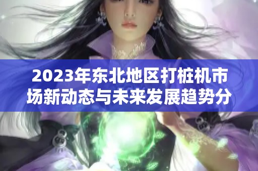2023年东北地区打桩机市场新动态与未来发展趋势分析