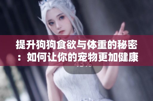 提升狗狗食欲与体重的秘密：如何让你的宠物更加健康强壮