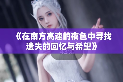 《在南方高速的夜色中寻找遗失的回忆与希望》