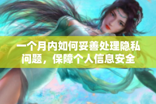 一个月内如何妥善处理隐私问题，保障个人信息安全
