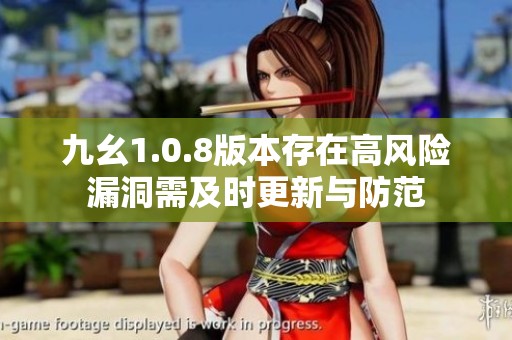九幺1.0.8版本存在高风险漏洞需及时更新与防范