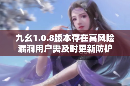 九幺1.0.8版本存在高风险漏洞用户需及时更新防护