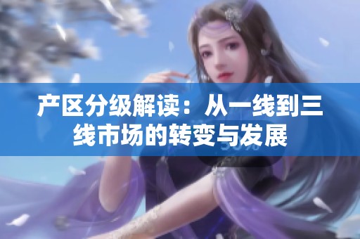 产区分级解读：从一线到三线市场的转变与发展