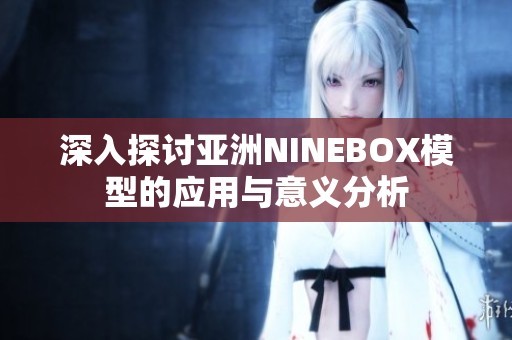 深入探讨亚洲NINEBOX模型的应用与意义分析