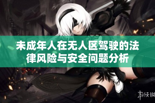 未成年人在无人区驾驶的法律风险与安全问题分析