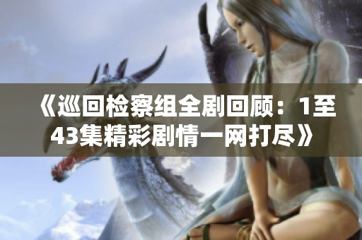 《巡回检察组全剧回顾：1至43集精彩剧情一网打尽》