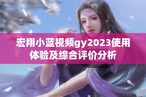 宏翔小蓝视频gy2023使用体验及综合评价分析