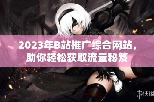 2023年B站推广综合网站，助你轻松获取流量秘笈