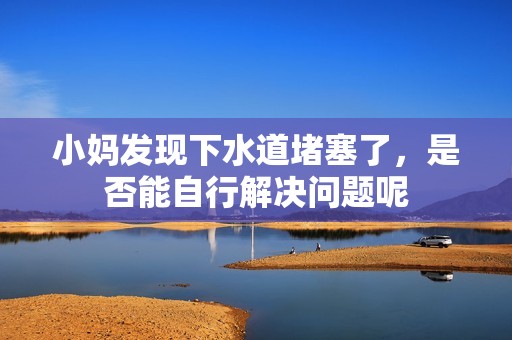 小妈发现下水道堵塞了，是否能自行解决问题呢