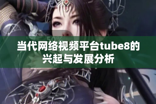 当代网络视频平台tube8的兴起与发展分析