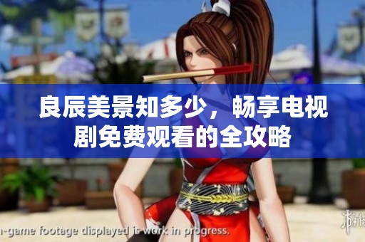 良辰美景知多少，畅享电视剧免费观看的全攻略