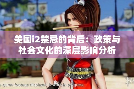 美国i2禁忌的背后：政策与社会文化的深层影响分析