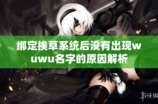 绑定挨草系统后没有出现wuwu名字的原因解析