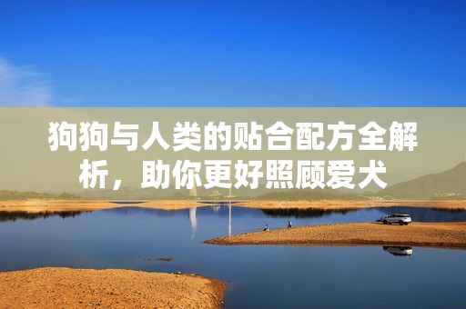 狗狗与人类的贴合配方全解析，助你更好照顾爱犬