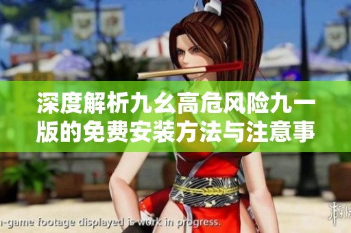 深度解析九幺高危风险九一版的免费安装方法与注意事项