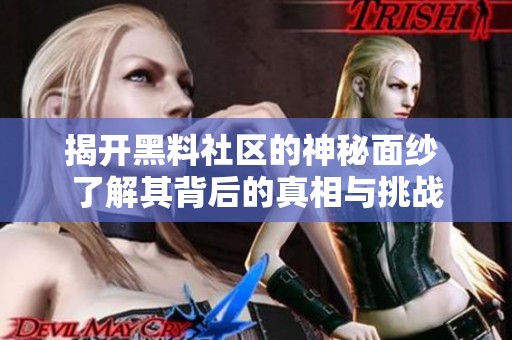 揭开黑料社区的神秘面纱 了解其背后的真相与挑战