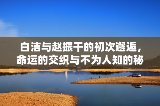 白洁与赵振干的初次邂逅，命运的交织与不为人知的秘密