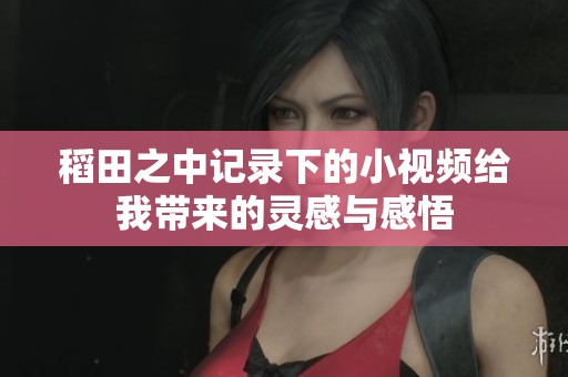 稻田之中记录下的小视频给我带来的灵感与感悟