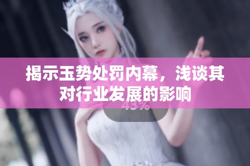 揭示玉势处罚内幕，浅谈其对行业发展的影响