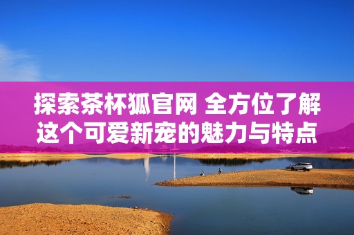 探索茶杯狐官网 全方位了解这个可爱新宠的魅力与特点