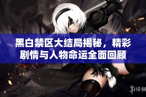 黑白禁区大结局揭秘，精彩剧情与人物命运全面回顾