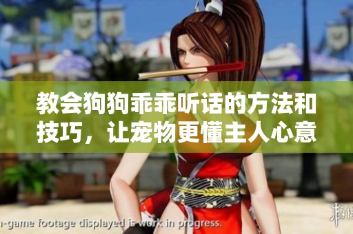 教会狗狗乖乖听话的方法和技巧，让宠物更懂主人心意