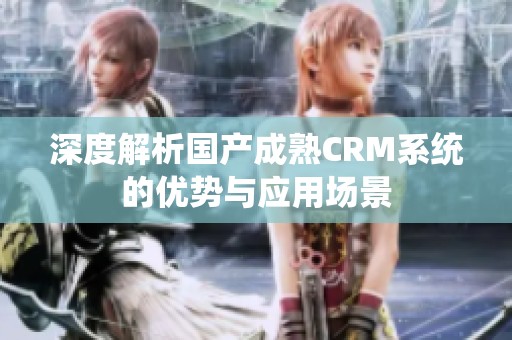 深度解析国产成熟CRM系统的优势与应用场景