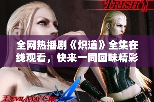 全网热播剧《炽道》全集在线观看，快来一同回味精彩剧情