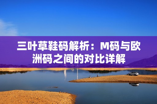三叶草鞋码解析：M码与欧洲码之间的对比详解