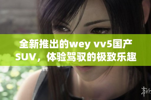 全新推出的wey vv5国产SUV，体验驾驭的极致乐趣